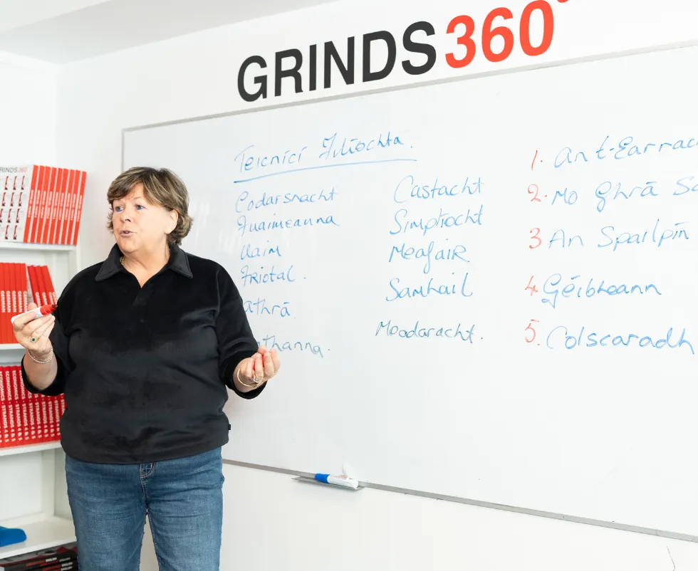 Irish teacher Clare Grealy delivering a Leaving Cert poetry workshop, explaining literary techniques and poem titles written on the whiteboard at Grinds 360.