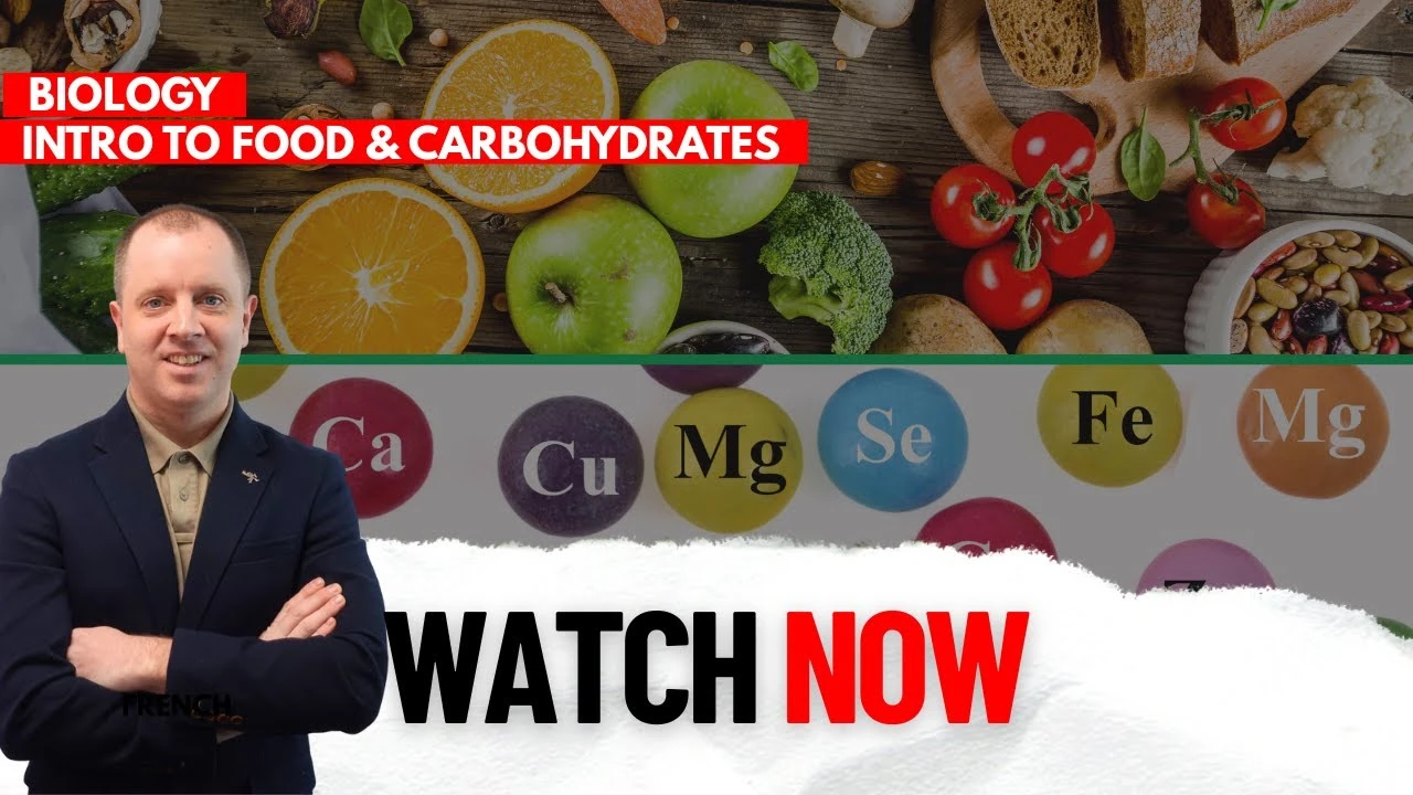 Food & Carbohydrates